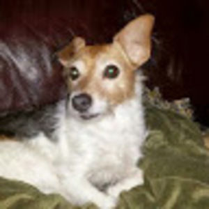 Meet your Posher, Michele